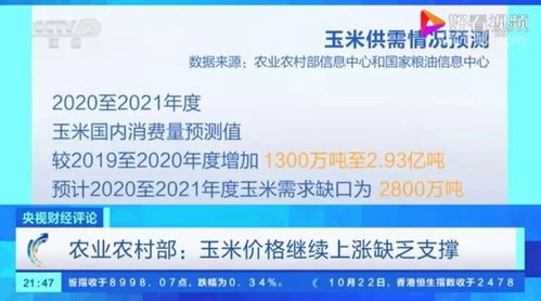 央視調查 玉米價格高漲掀波瀾，市場變化多端，未來走勢如何？